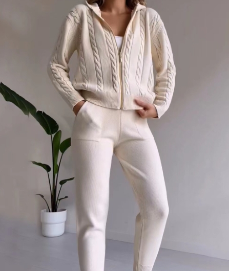 Solid Fried Dough Twists Hooded Zipper Top Casual Home Set